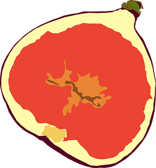 Stylized Apple Cross Section PNG