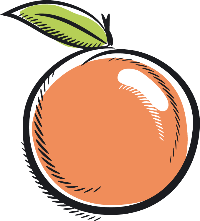 Stylized Apricot Illustration PNG