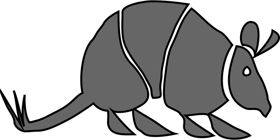 Stylized Armadillo Illustration PNG