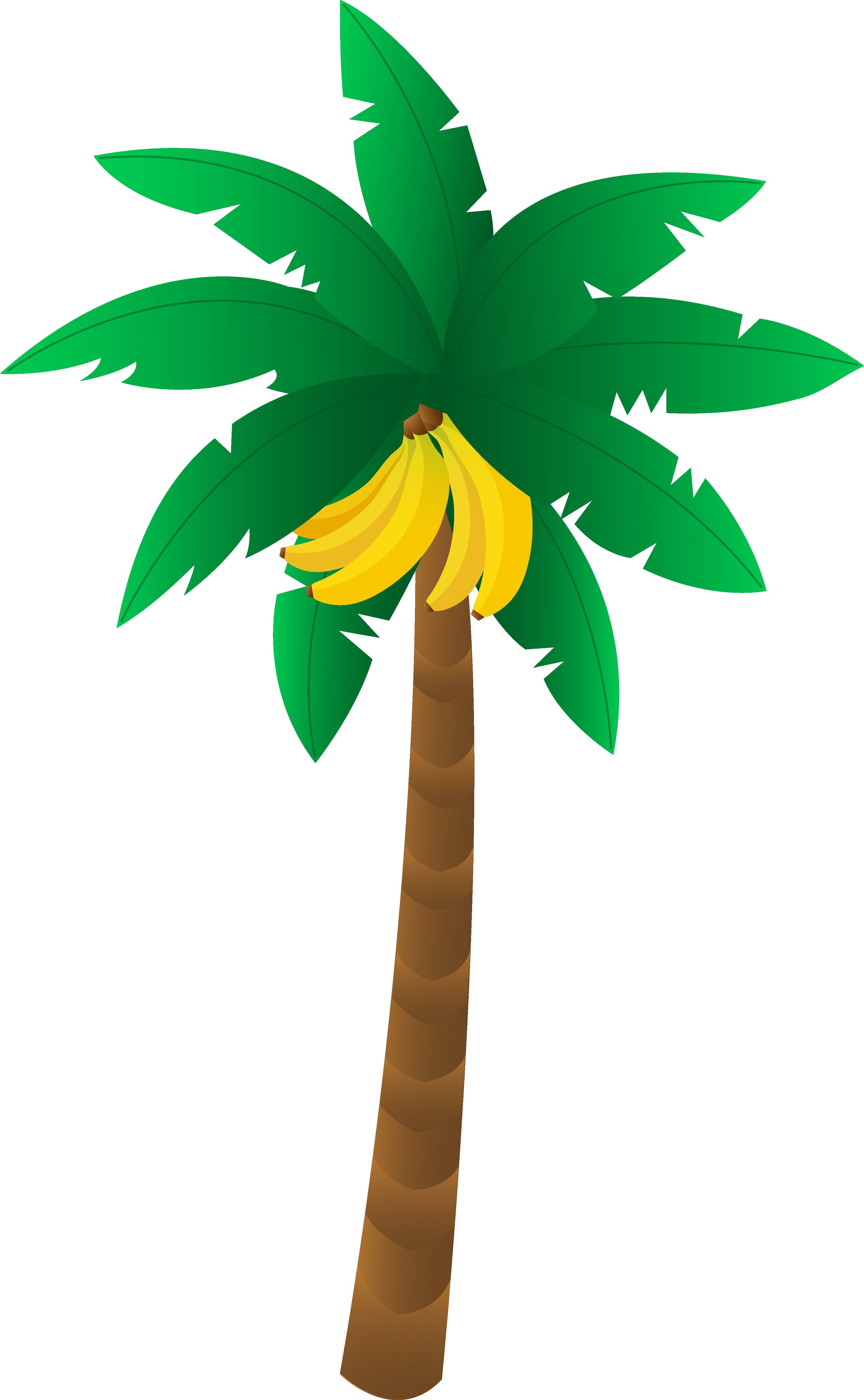 Stylized Banana Tree Illustration PNG