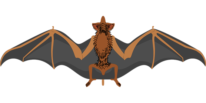 Stylized Bat Illustration PNG