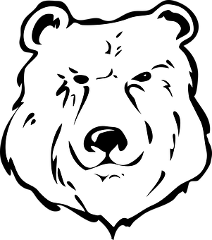 Stylized Bear Head Graphic PNG