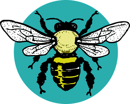 Stylized Bee Illustration PNG