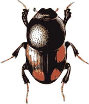 Stylized Beetle Artwork PNG