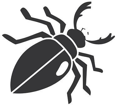 Stylized Beetle Graphic PNG