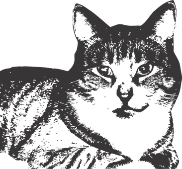 Stylized Black Cat Graphic PNG
