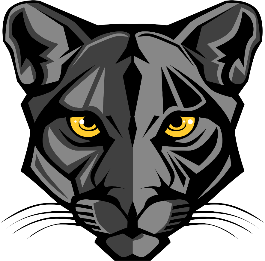 Stylized Black Panther Head Illustration PNG