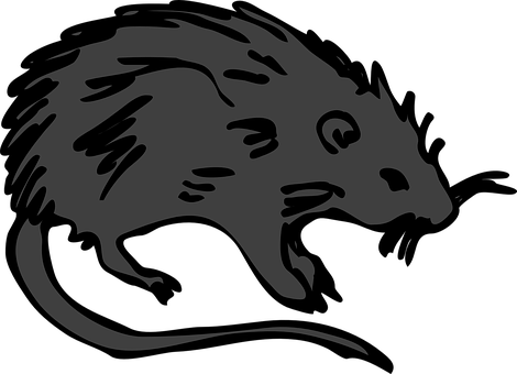 Stylized Black Rat Illustration PNG