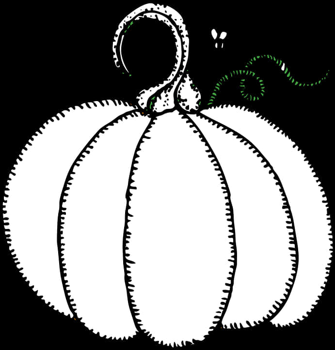 Stylized Black White Pumpkin Illustration PNG