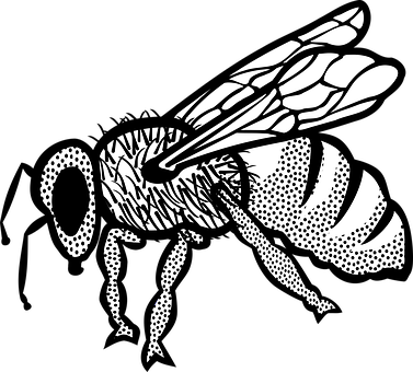 Stylized Blackand White Bee Illustration PNG