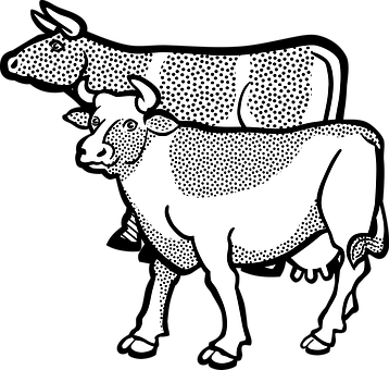 Stylized Blackand White Cows Illustration PNG