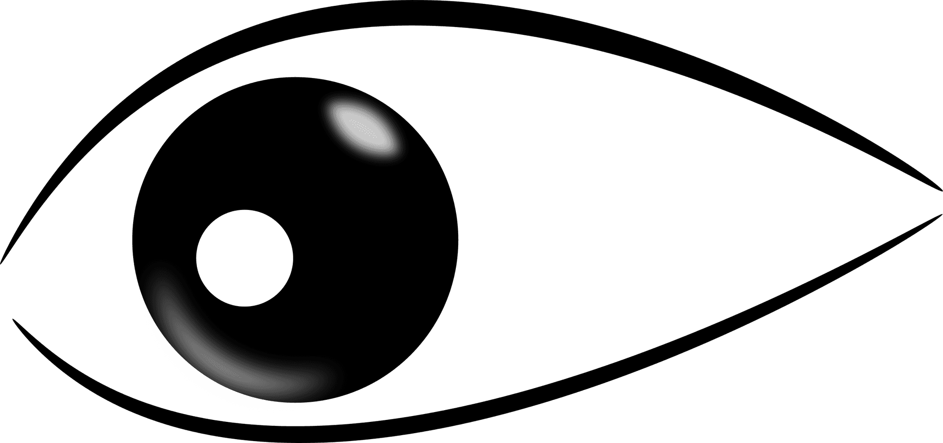 Stylized Blackand White Eye Clipart PNG