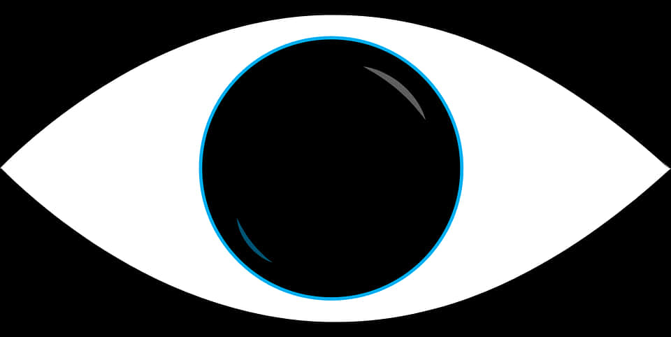 Stylized Blackand White Eye Graphic PNG