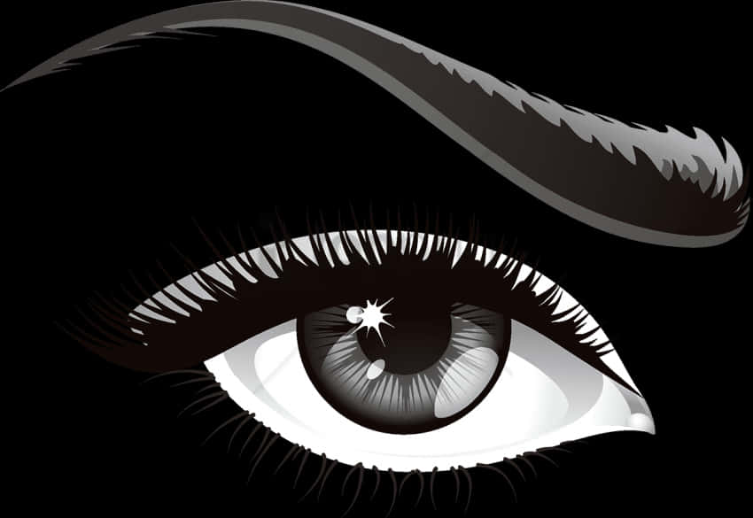 Stylized Blackand White Eye Illustration PNG