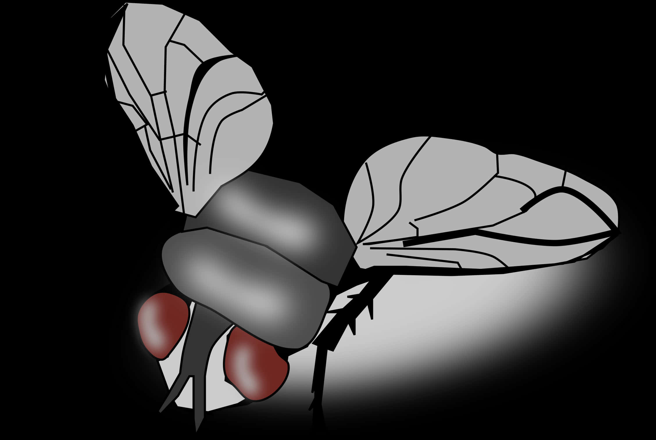 Stylized Blackand White Fly Illustration PNG