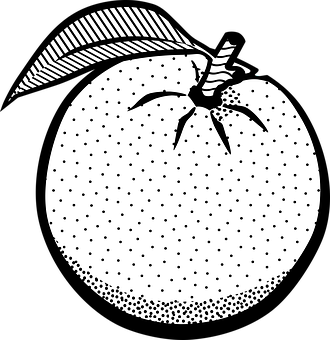 Stylized Blackand White Orange Illustration PNG