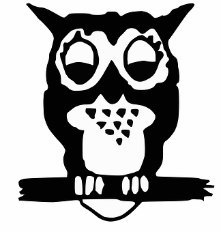 Stylized Blackand White Owl Illustration PNG