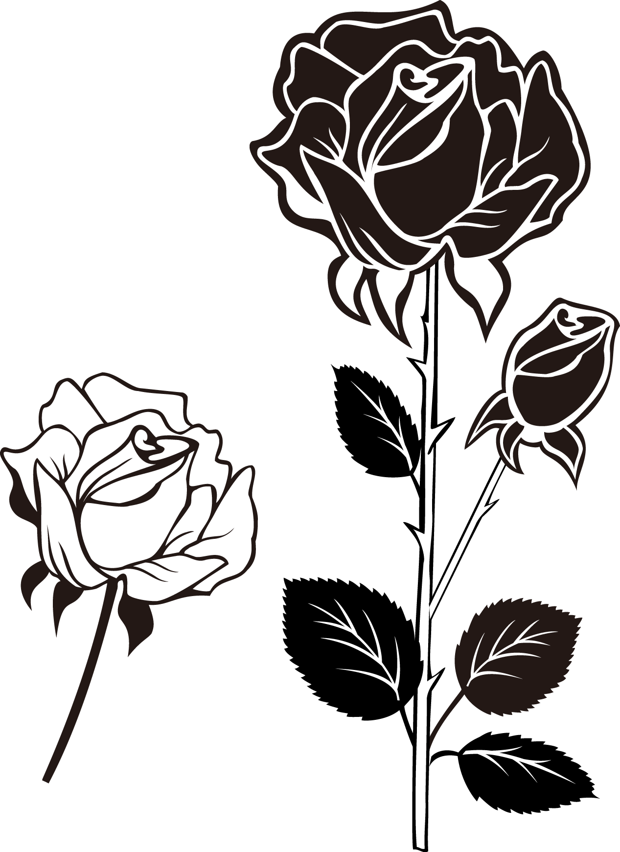 Stylized Blackand White Roses PNG
