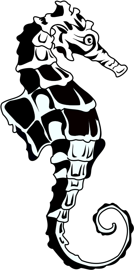 Stylized Blackand White Seahorse Illustration PNG
