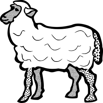 Stylized Blackand White Sheep Illustration PNG