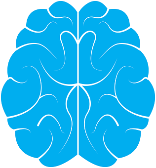 Stylized Blue Brain Outline PNG