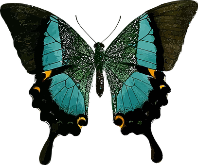 Stylized Blue Butterfly Art PNG