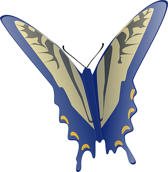 Stylized Blue Butterfly Graphic PNG