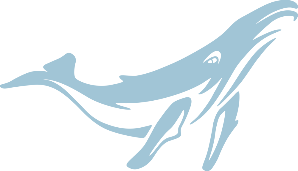 Stylized Blue Whale Clipart PNG