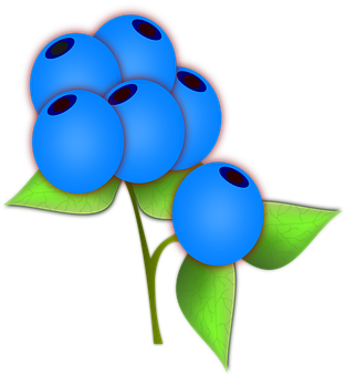 Stylized Blueberries Illustration PNG