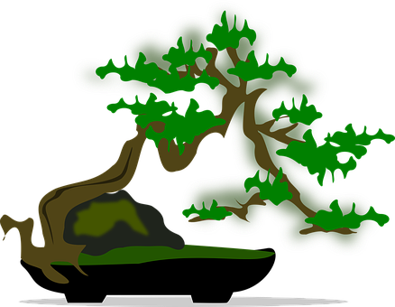 Stylized Bonsai Tree Illustration PNG