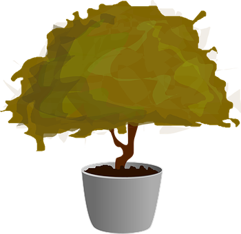 Stylized Bonsai Tree Illustration PNG