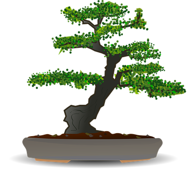 Stylized Bonsai Tree Illustration PNG