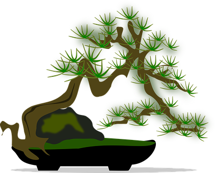 Stylized Bonsai Tree Vector PNG