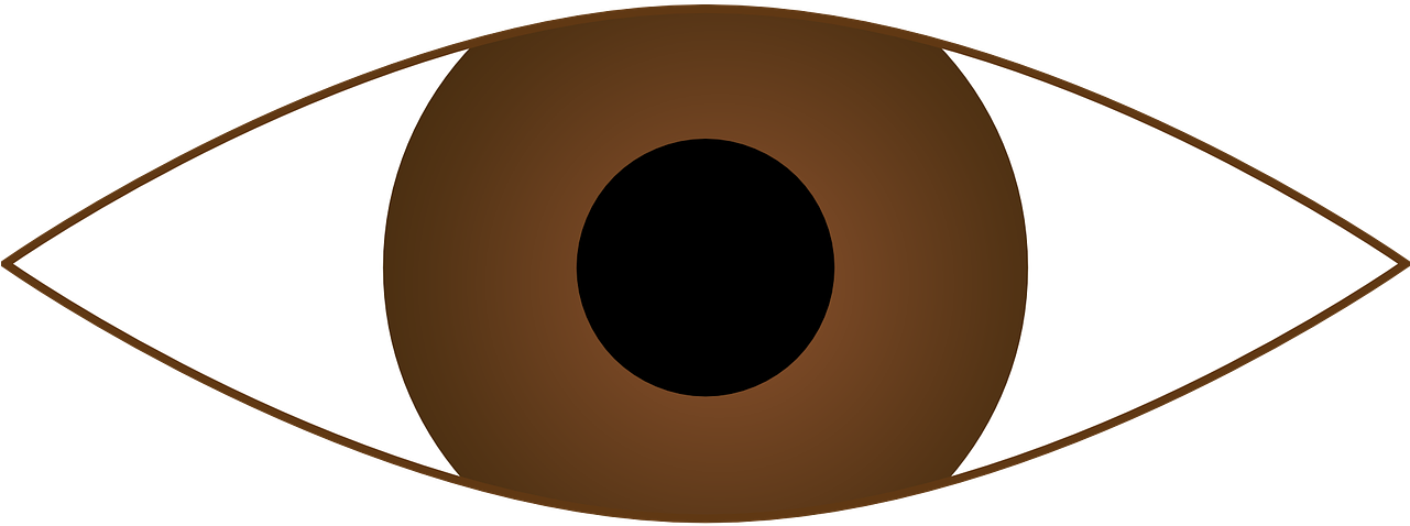 Stylized Brown Eye Clipart PNG