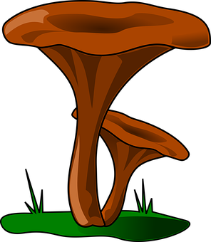 Stylized Brown Mushroom Vector PNG