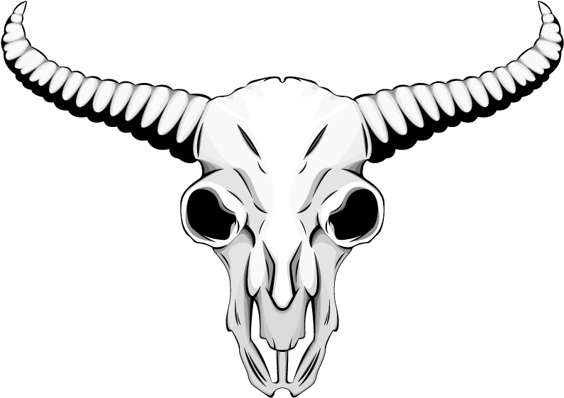 Stylized Bull Skull Illustration PNG