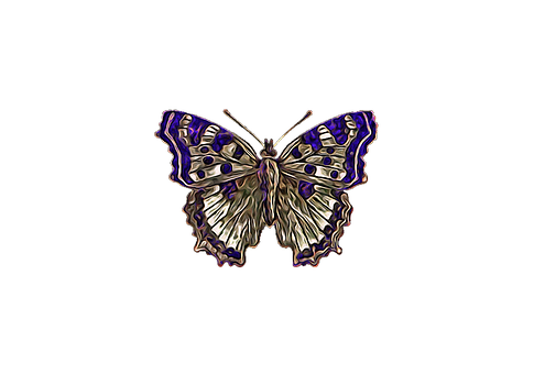 Stylized Butterfly Artwork PNG