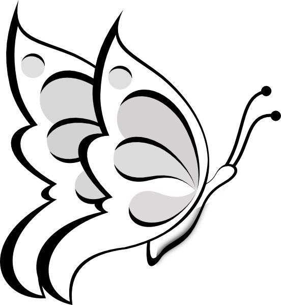 Stylized Butterfly Outline PNG
