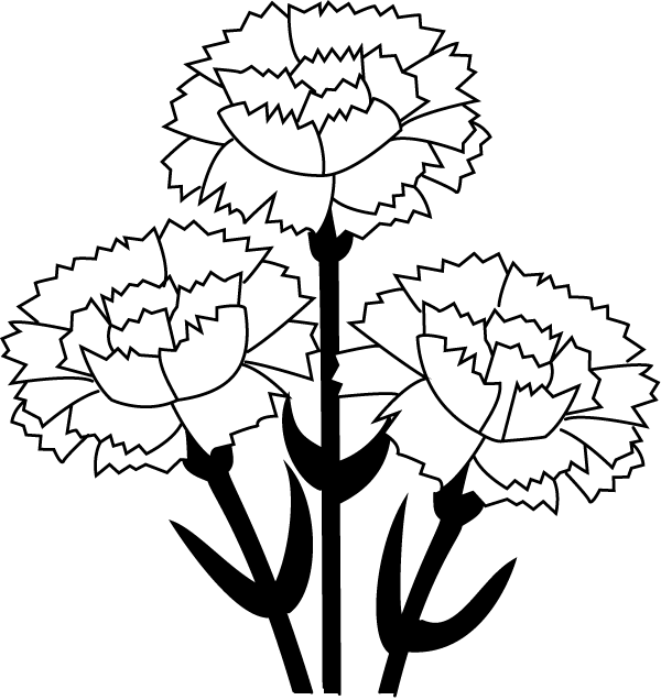 Stylized Carnation Trio PNG