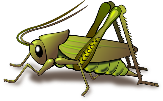 Stylized Cartoon Grasshopper PNG