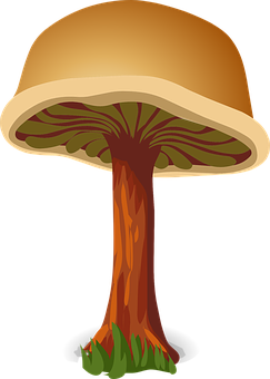 Stylized Cartoon Mushroom PNG