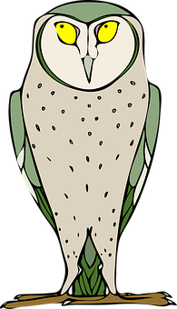 Stylized Cartoon Owl Illustration PNG