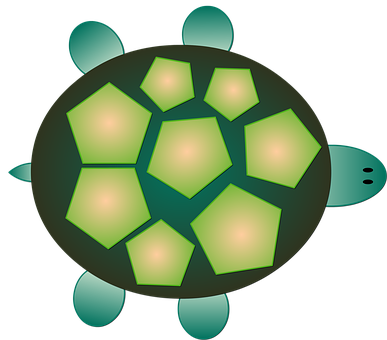 Stylized Cartoon Turtle Graphic PNG