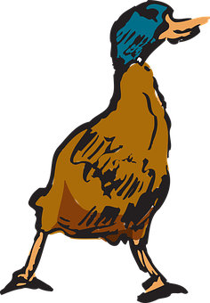 Stylized Cassowary Illustration PNG