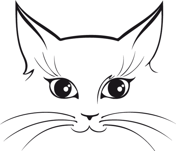 Stylized Cat Face Illustration PNG