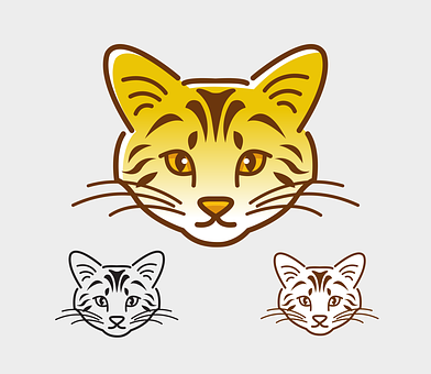 Stylized Cat Face Illustrations PNG