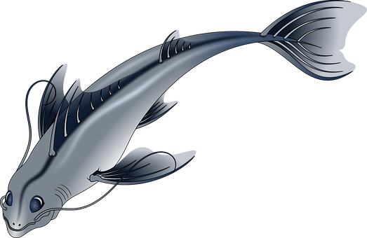 Stylized Catfish Illustration PNG