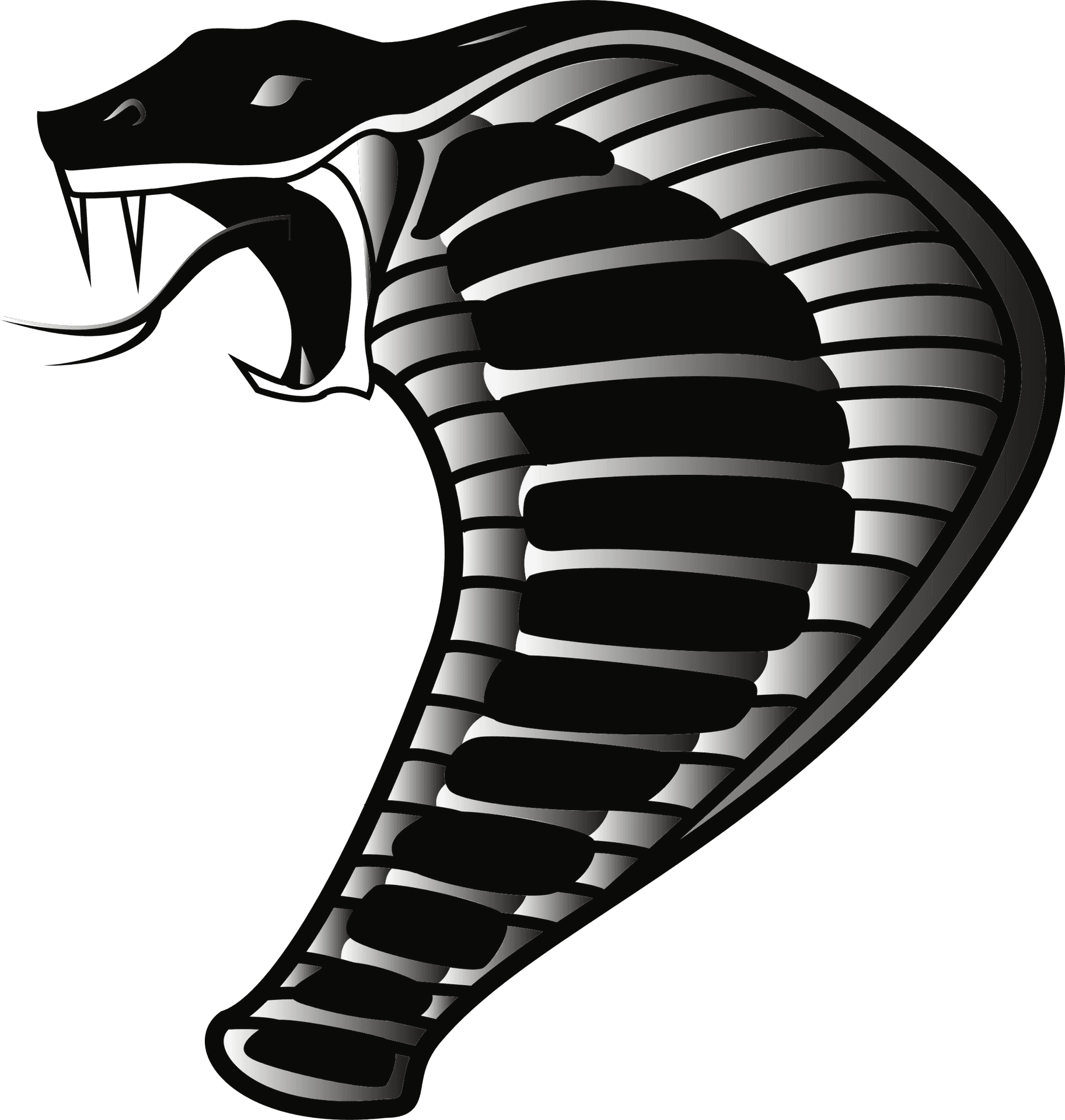 Stylized Cobra Illustration PNG