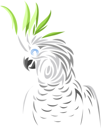 Stylized Cockatoo Illustration PNG