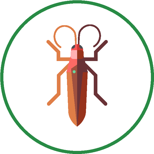 Stylized Cockroach Icon PNG